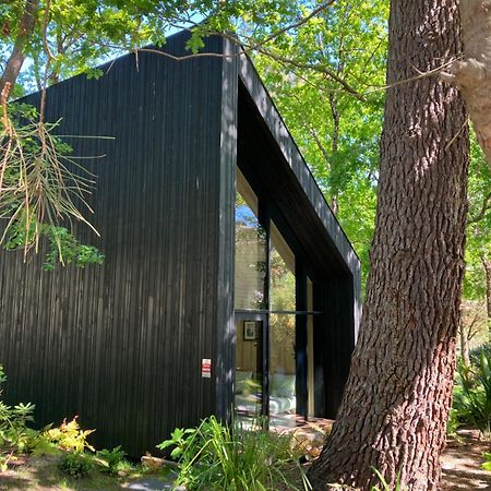 Nouveau - Ecolodge 'Calme Et Nature' - Avec Piscine Au Golf-Lac De Biscarrosse - Couchage 2 Personnes Esterno foto