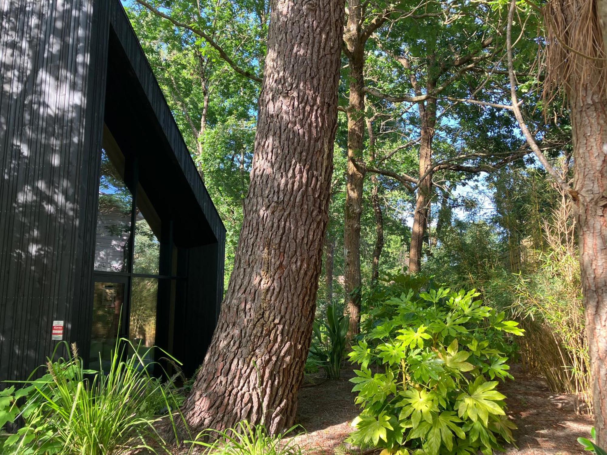 Nouveau - Ecolodge 'Calme Et Nature' - Avec Piscine Au Golf-Lac De Biscarrosse - Couchage 2 Personnes Esterno foto